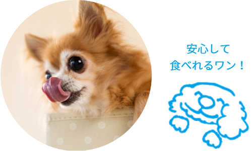 写真　ヒューマングレード