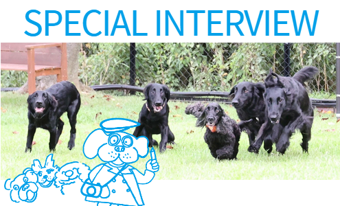 バナー　スペシャルインタビュー