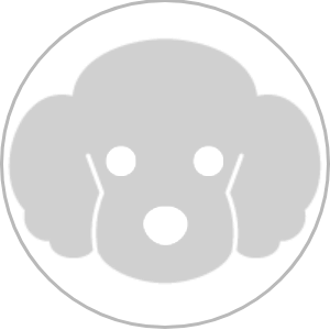 イラスト　犬　シルエット