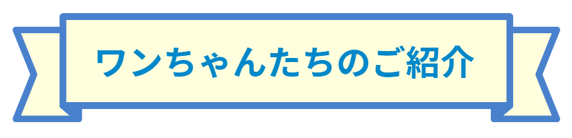 ワンちゃんたちのご紹介