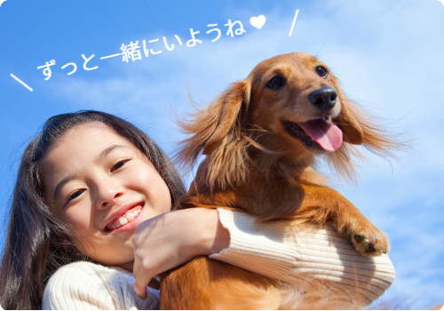 写真　犬と少女