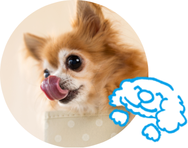 写真　ヒューマングレード